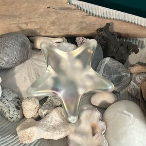 Iridescent Star Glass Decor - Robert Held
